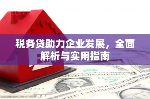 龙子湖税务贷助力企业发展，全面解析与实用指南