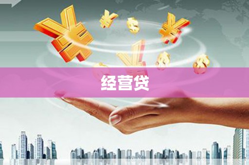 龙子湖经营贷