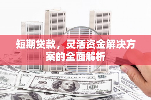 龙子湖短期贷款，灵活资金解决方案的全面解析