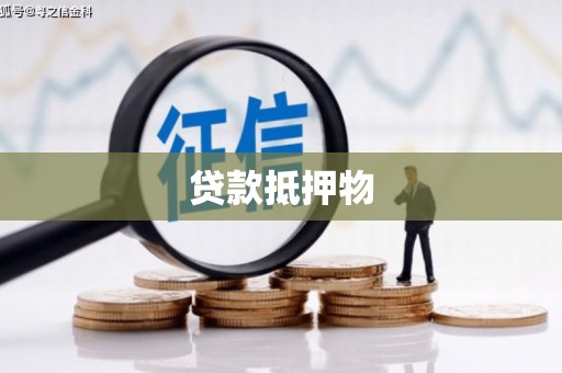 龙子湖贷款抵押物