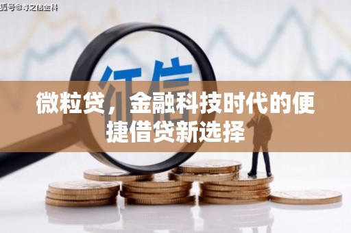 龙子湖微粒贷，金融科技时代的便捷借贷新选择
