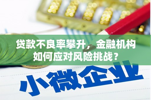 龙子湖贷款不良率攀升，金融机构如何应对风险挑战？