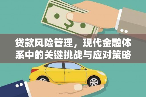 龙子湖贷款风险管理，现代金融体系中的关键挑战与应对策略