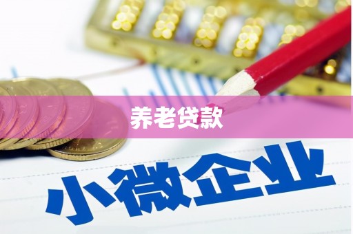 龙子湖养老贷款