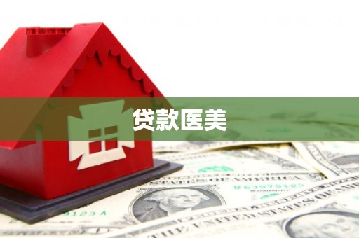 龙子湖贷款医美