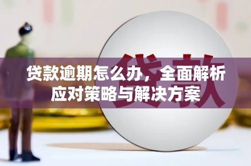 龙子湖贷款逾期怎么办，全面解析应对策略与解决方案