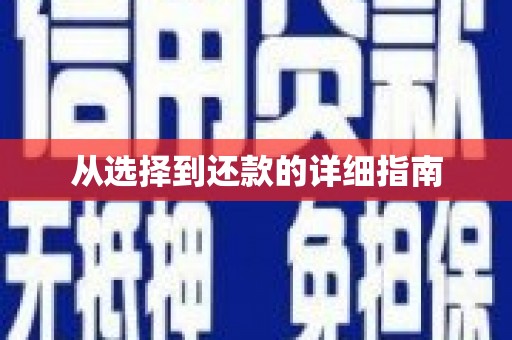 龙子湖从选择到还款的详细指南