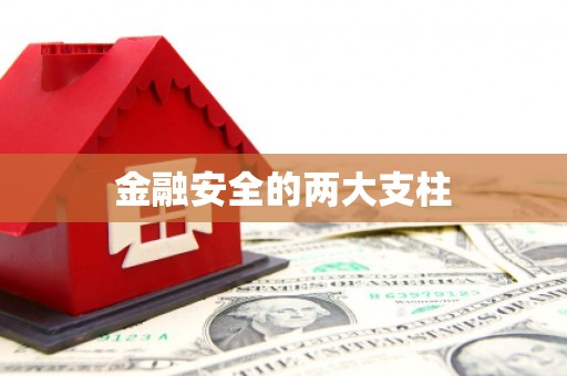 龙子湖金融安全的两大支柱